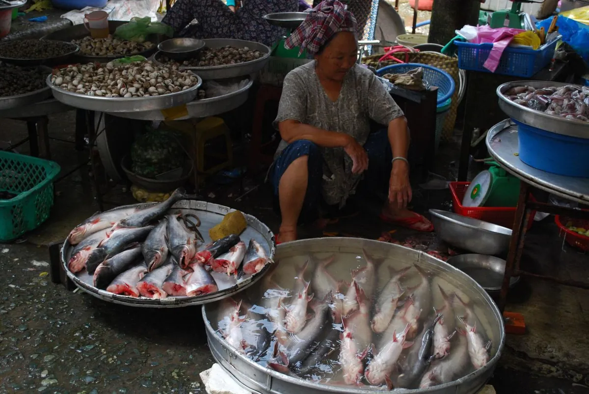 Hoạt động tại chợ cá ở Vĩnh Long